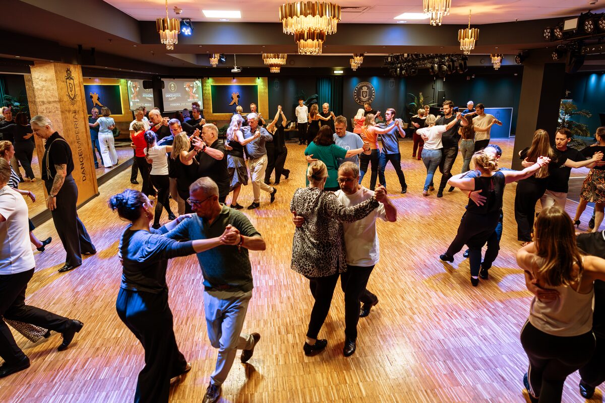 More than 100 workshops in six festival days, DANCEIMPERIAL Regensburg